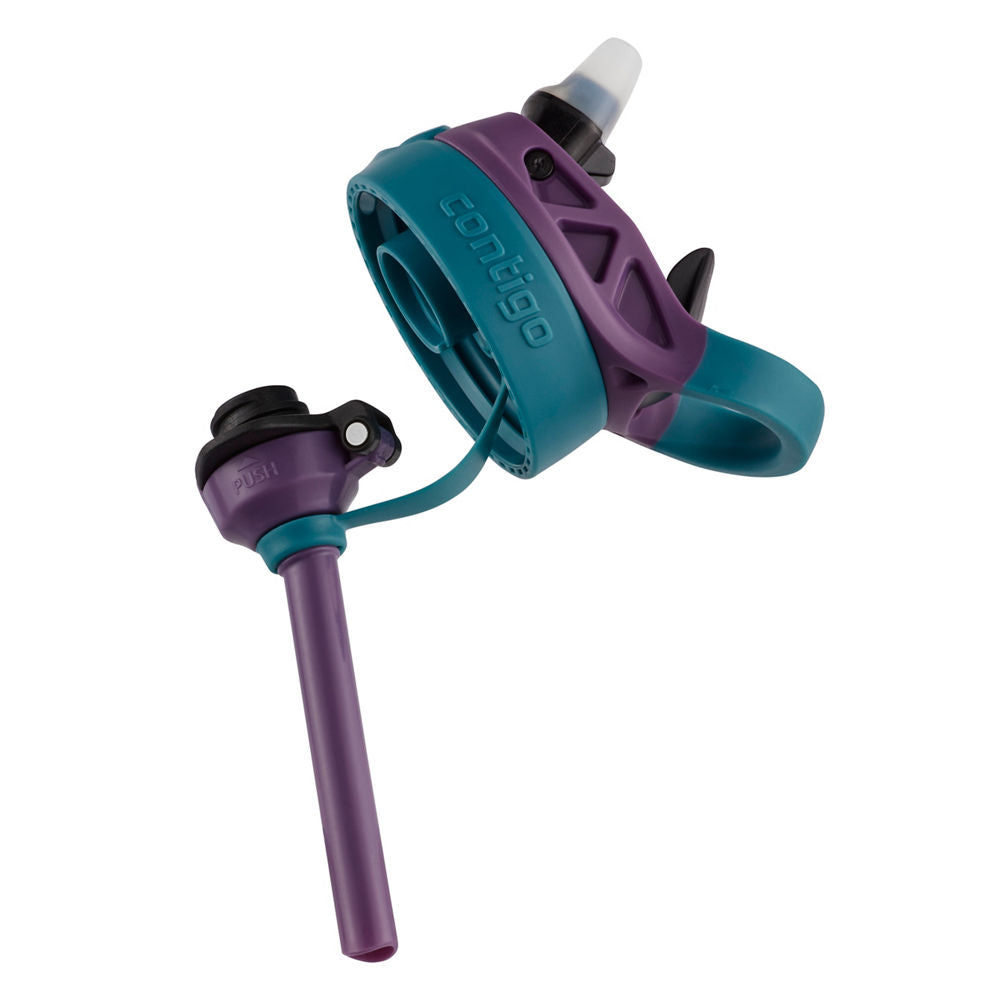 Contigo® Kids Straw Water Bottle with AUTOSPOUT® Lid, 14oz - Dinos - image 5