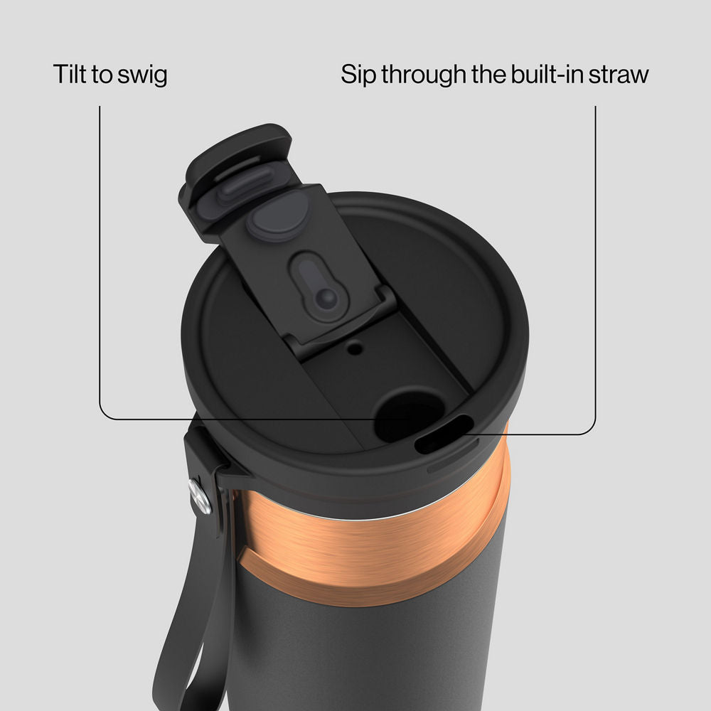24oz DualSip Bottle - Licorice Bronze - image 2