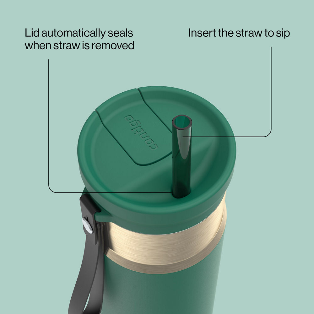 24oz SnapSeal™ Bottle - Dark Emerald Champagne - image 3