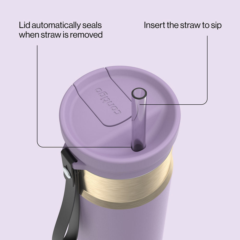24oz SnapSeal™ Bottle - Purple Carrot Champagne - image 4